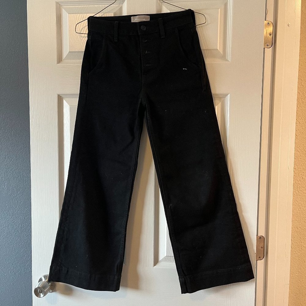 Everlane The Wide Leg Jean